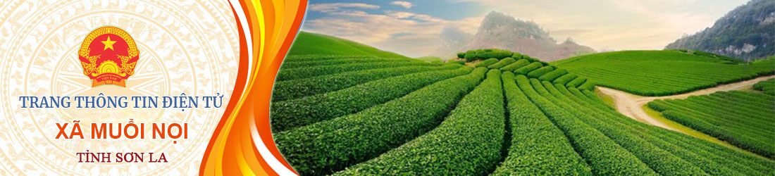 image banner